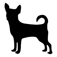 Veterinary Care Veterinary Care