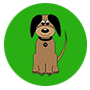 Dog Camp Toronto: Choosing the Right Dog Boarding Spot